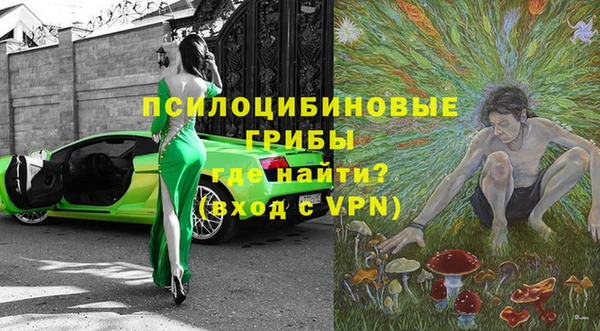 амф Алексин